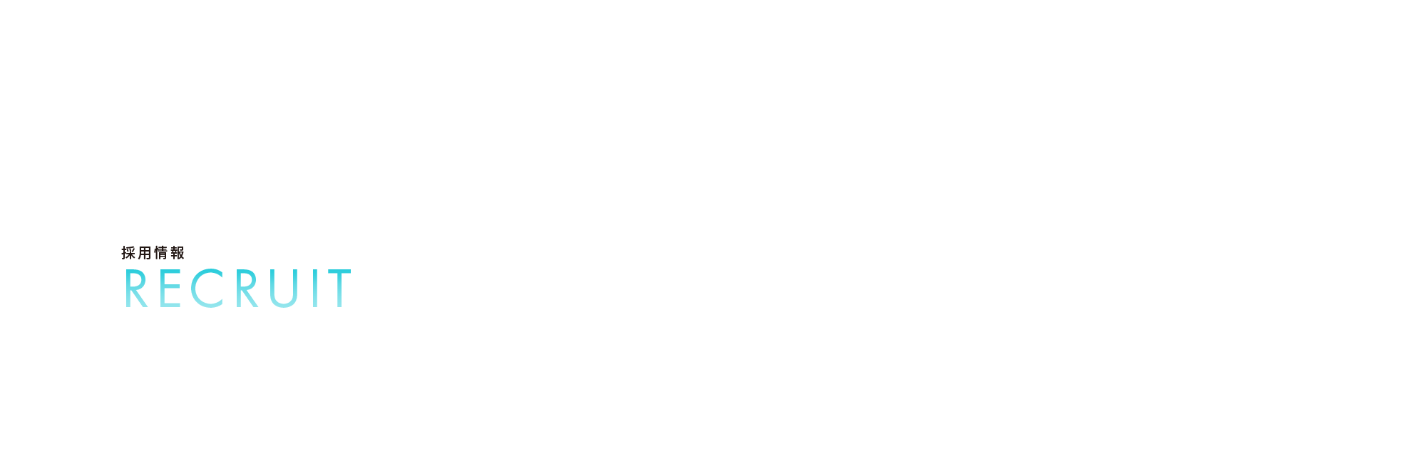 採用情報